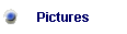 Pictures