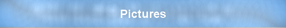 Pictures